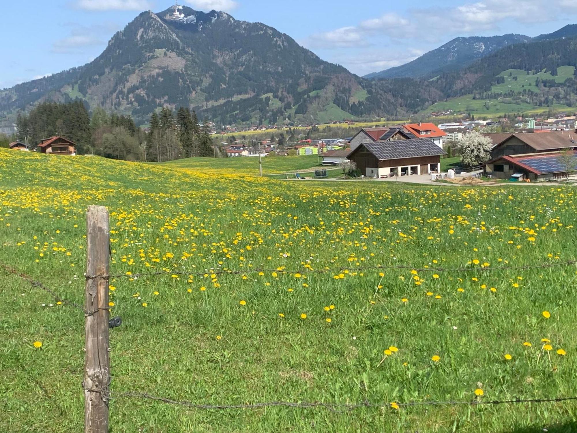 Ferienwohnungen Probst Ofterschwang Exterior foto